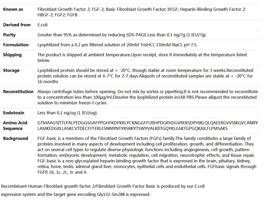 Recombinant Human FGF Basic,索莱宝,P00032-500ug