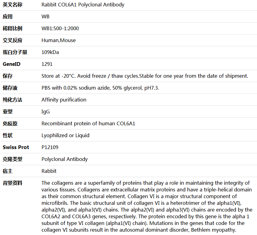 COL6A1 Antibody,索莱宝,K006016P-50ul