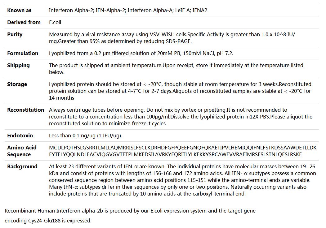 Recombinant Human IFNα2b,索莱宝,P00030-10ug