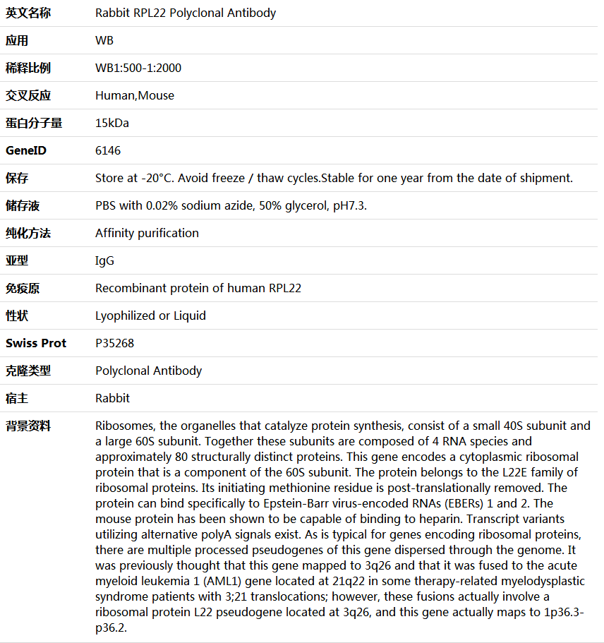 RPL22 Antibody,索莱宝,K006013P-50ul