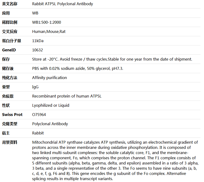 ATP5L Antibody,索莱宝,K006011P-50ul