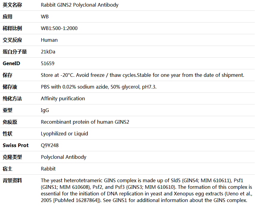 GINS2 Antibody,索莱宝,K006009P-100ul