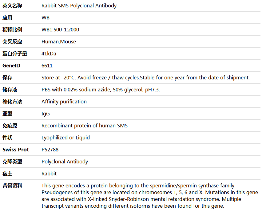 SMS Antibody,索莱宝,K006008P-50ul