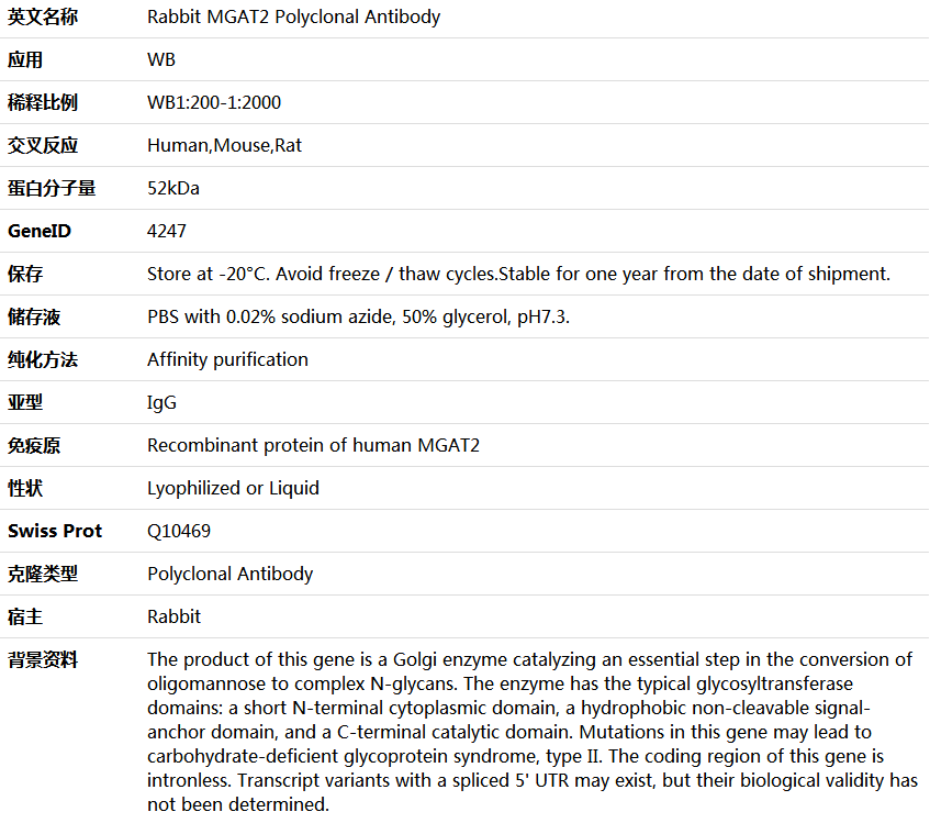 MGAT2 Antibody,索莱宝,K006004P-100ul