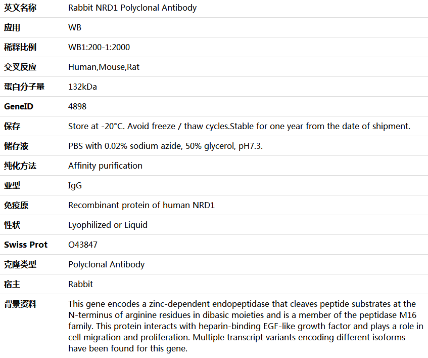 NRD1 Antibody,索莱宝,K006002P-100ul