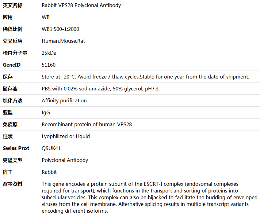 VPS28 Antibody,索莱宝,K005999P-50ul