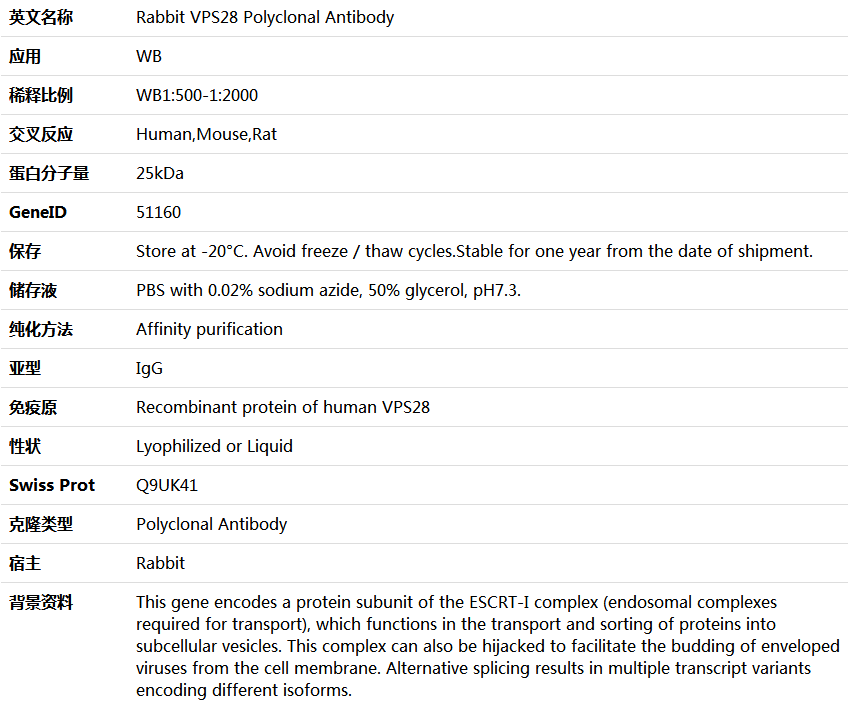 VPS28 Antibody,索莱宝,K005999P-100ul