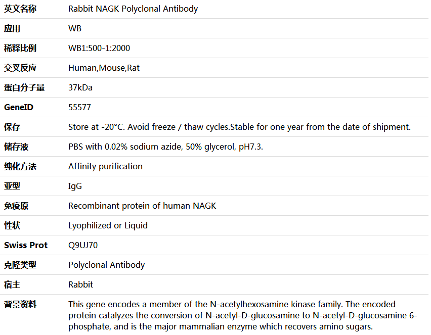 NAGK Antibody,索莱宝,K005995P-50ul
