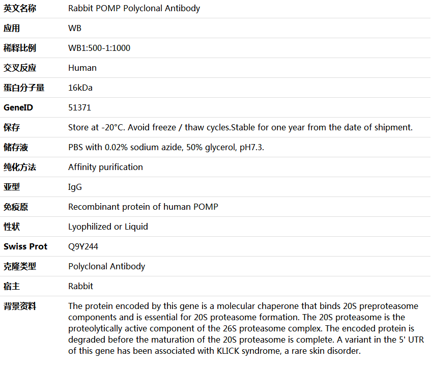 POMP Antibody,索莱宝,K005994P-100ul