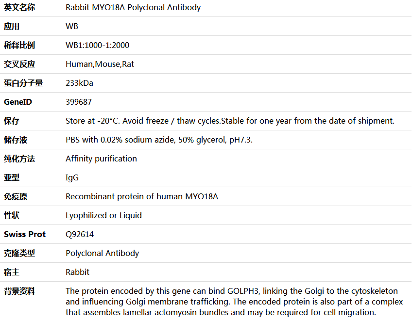 MYO18A Antibody,索莱宝,K005988P-50ul