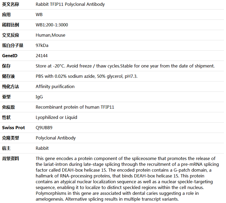 TFIP11 Antibody,索莱宝,K005984P-50ul