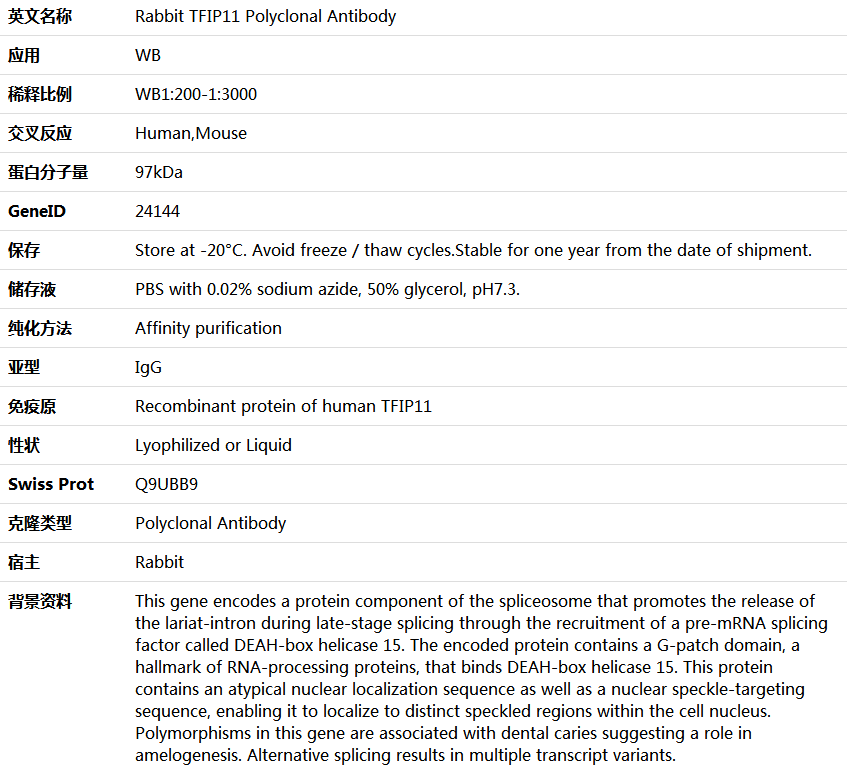 TFIP11 Antibody,索莱宝,K005984P-100ul