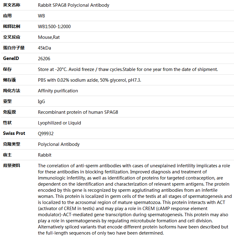 SPAG8 Antibody,索莱宝,K005981P-50ul