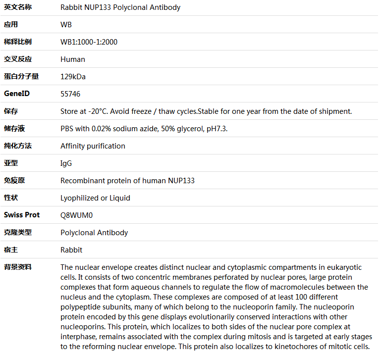 NUP133 Antibody,索莱宝,K005973P-50ul