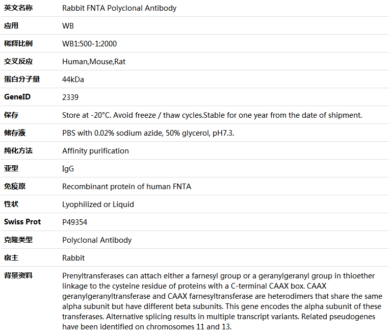 FNTA Antibody,索莱宝,K005970P-100ul