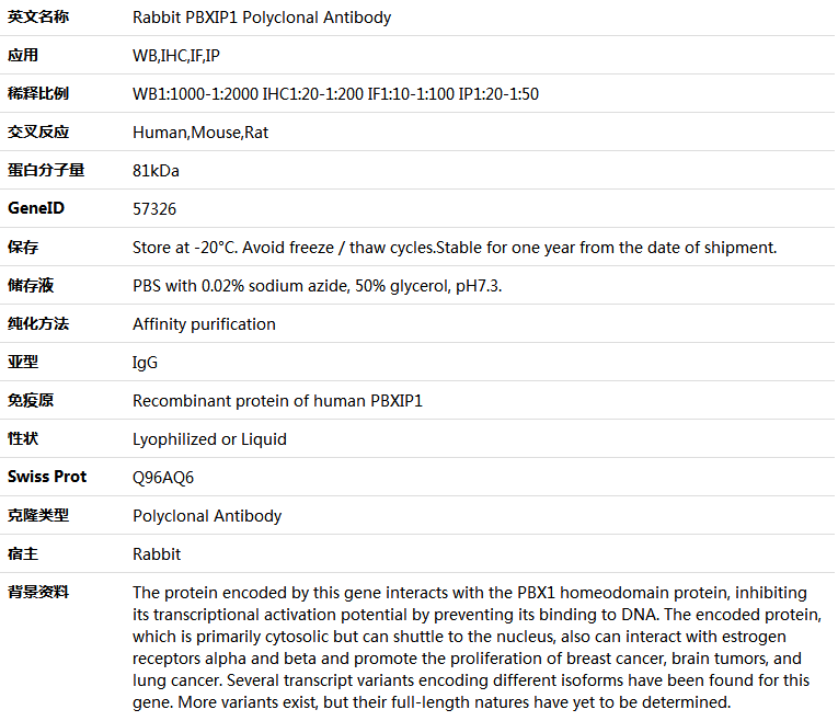 PBXIP1 Antibody,索莱宝,K005967P-50ul