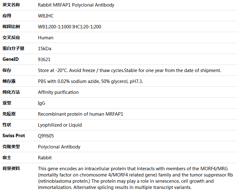 MRFAP1 Antibody,索莱宝,K005962P-100ul