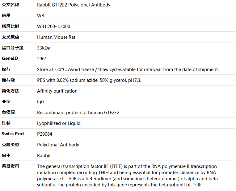 GTF2E2 Antibody,索莱宝,K005960P-100ul