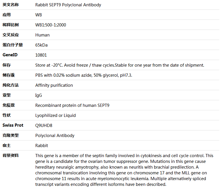 SEPT9 Antibody,索莱宝,K005953P-50ul