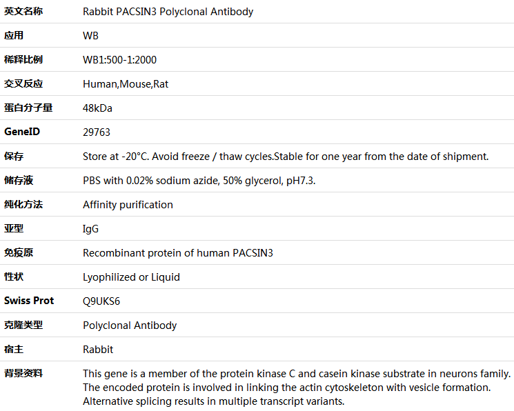 PACSIN3 Antibody,索莱宝,K005951P-50ul