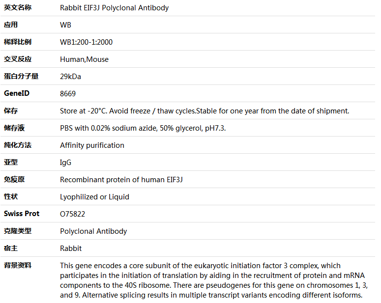 EIF3J Antibody,索莱宝,K005950P-100ul