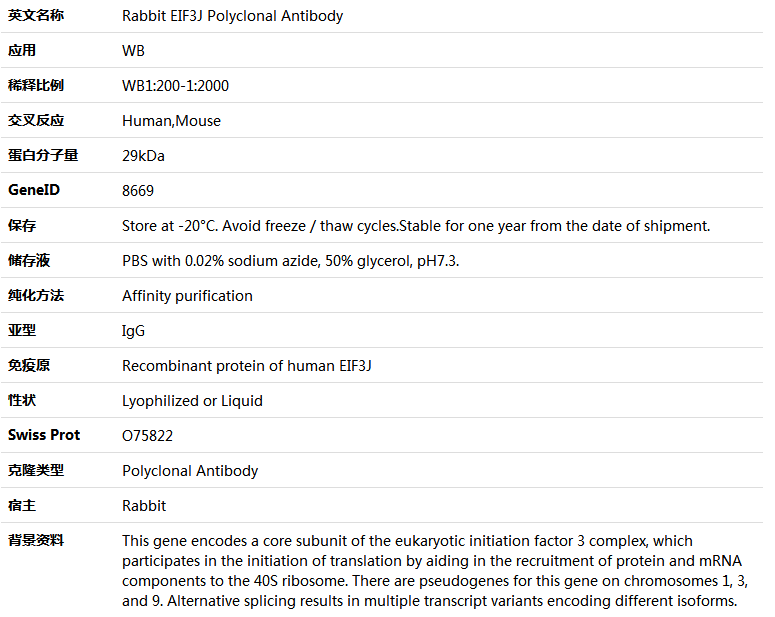 EIF3J Antibody,索莱宝,K005950P-50ul