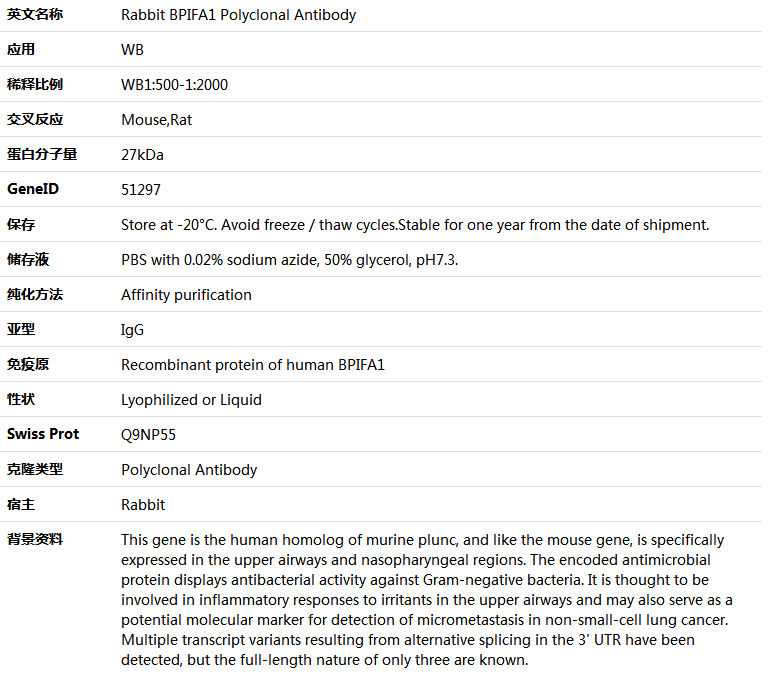 BPIFA1 Antibody,索莱宝,K005949P-100ul