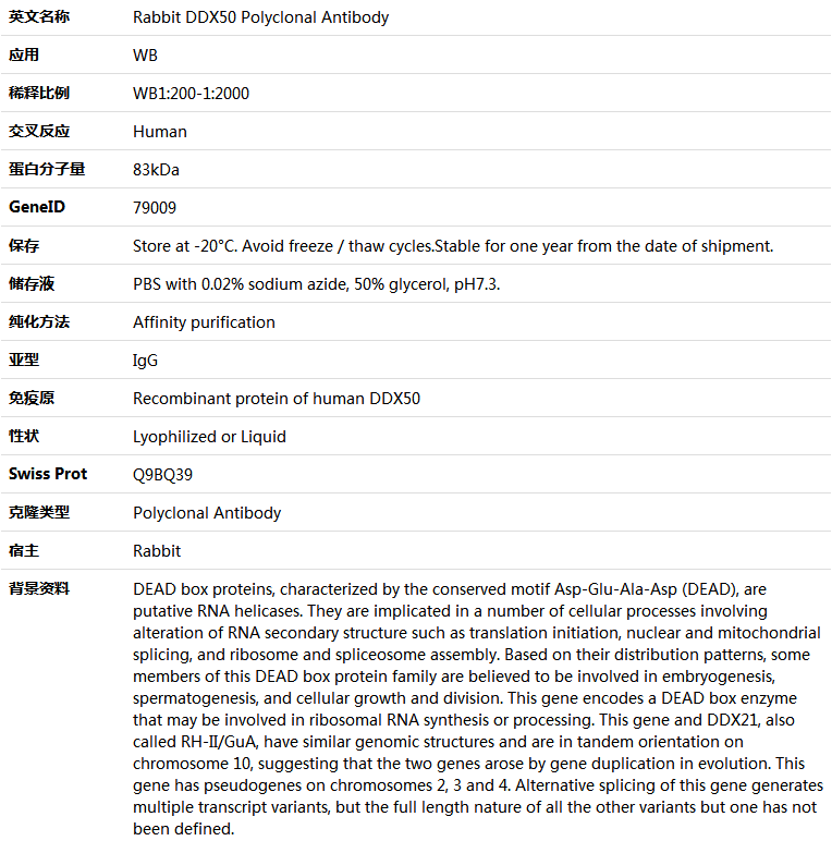 DDX50 Antibody,索莱宝,K005947P-100ul