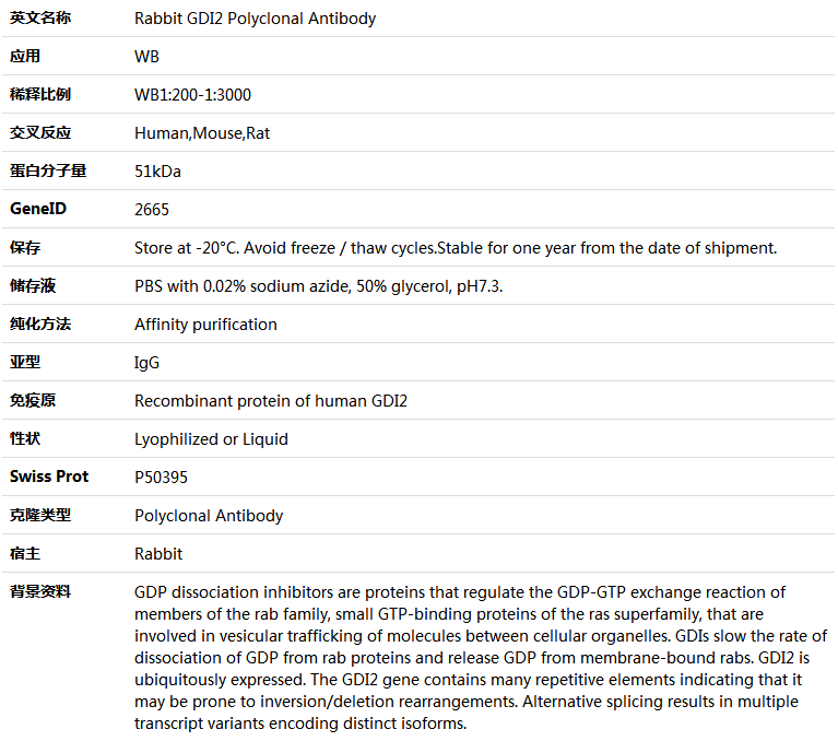 GDI2 Antibody,索莱宝,K005944P-100ul