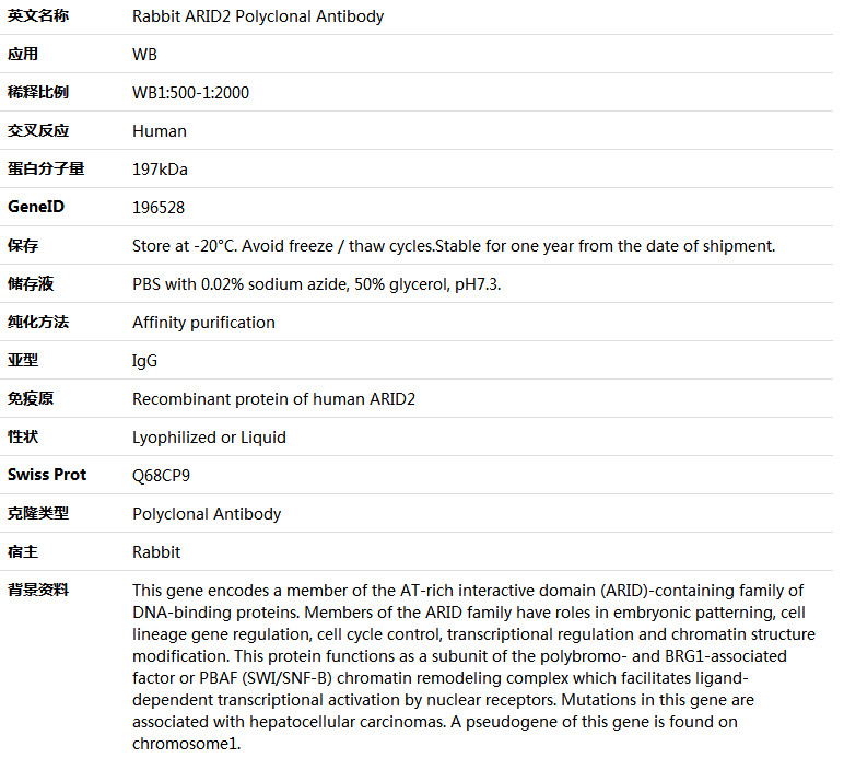 ARID2 Antibody,索莱宝,K005939P-100ul