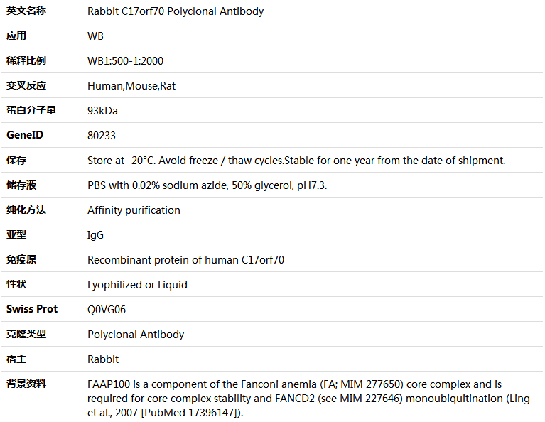 C17orf70 Antibody,索莱宝,K005930P-50ul