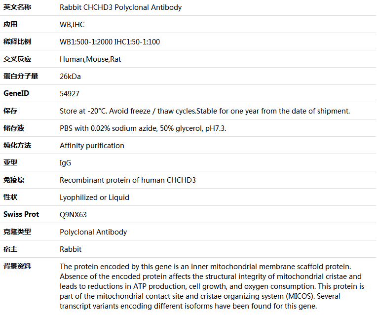 CHCHD3 Antibody,索莱宝,K005927P-50ul