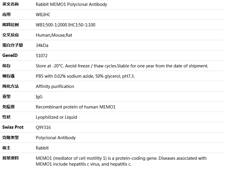 MEMO1 Antibody,索莱宝,K005926P-100ul