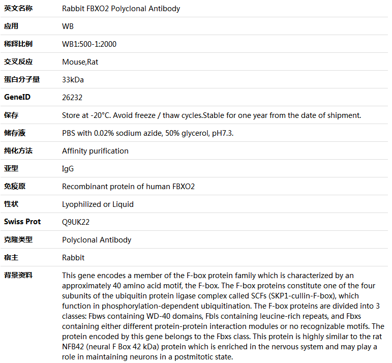 FBXO2 Antibody,索莱宝,K005925P-100ul