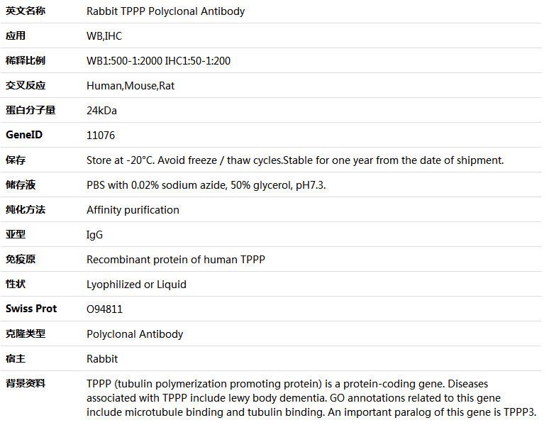 TPPP Antibody,索莱宝,K005924P-100ul
