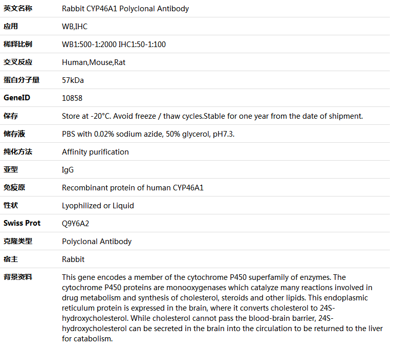 CYP46A1 Antibody,索莱宝,K005923P-50ul