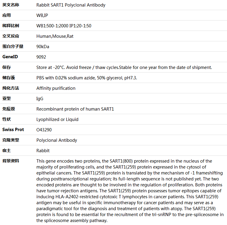 SART1 Antibody,索莱宝,K005919P-100ul