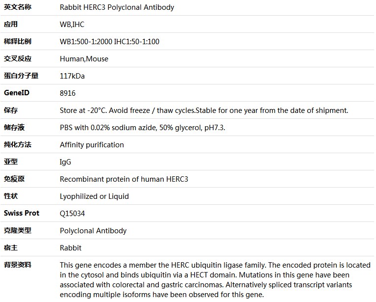 HERC3 Antibody,索莱宝,K005917P-100ul