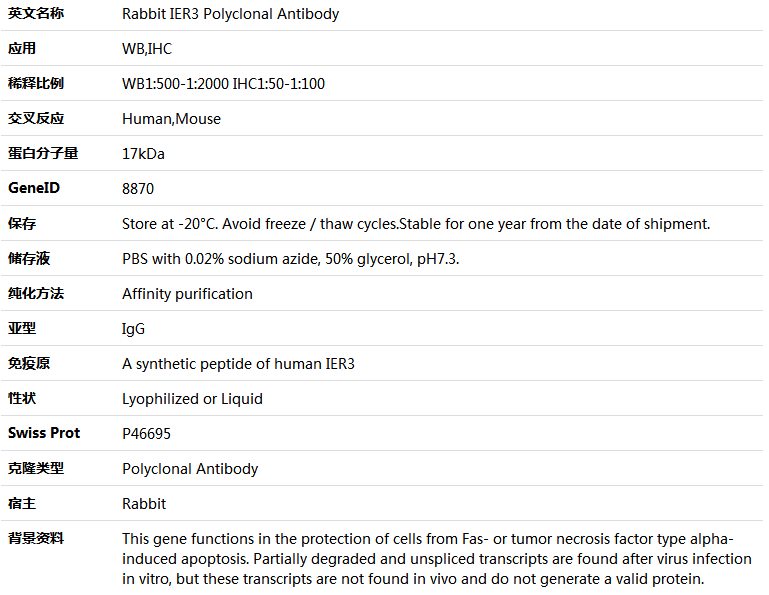 IER3 Antibody,索莱宝,K005916P-50ul