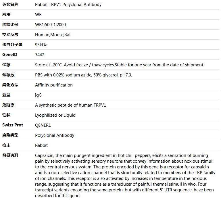 TRPV1 Antibody,索莱宝,K005915P-30ul