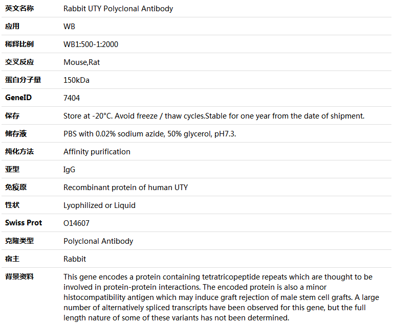 UTY Antibody,索莱宝,K005914P-50ul
