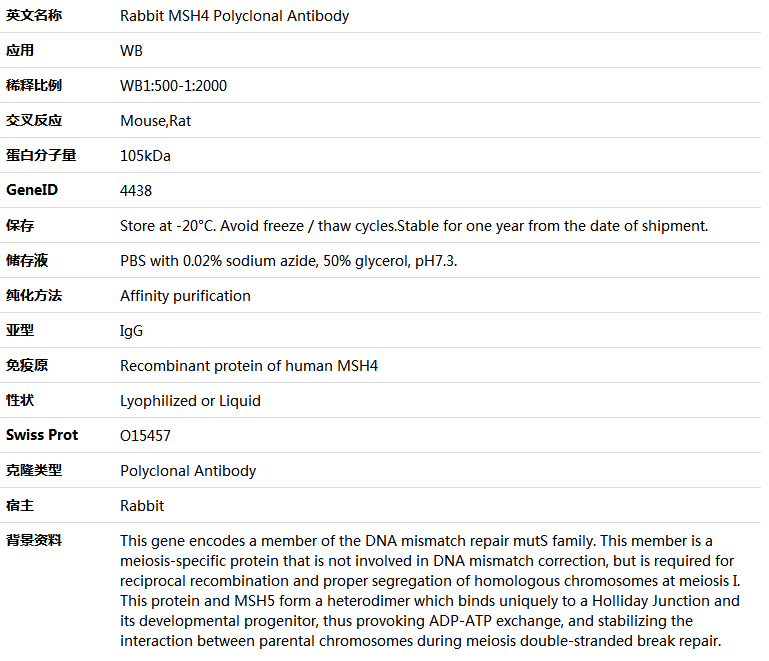 MSH4 Antibody,索莱宝,K005911P-100ul