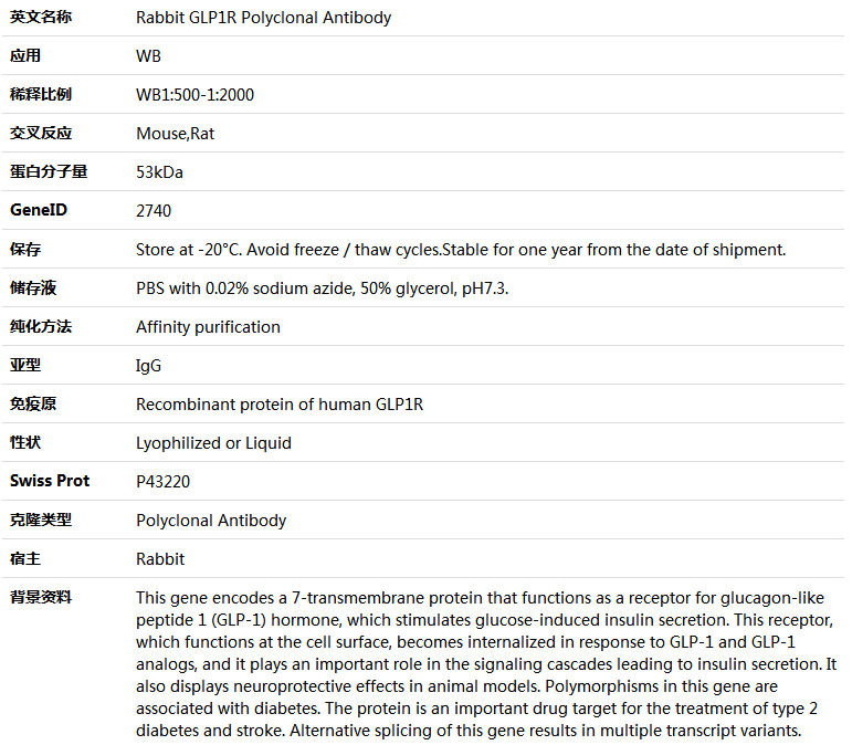 GLP1R Antibody,索莱宝,K005907P-30ul