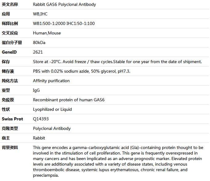 GAS6 Antibody,索莱宝,K005905P-50ul