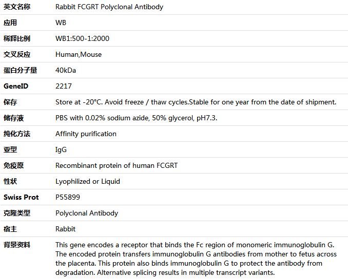 FCGRT Antibody,索莱宝,K005904P-100ul