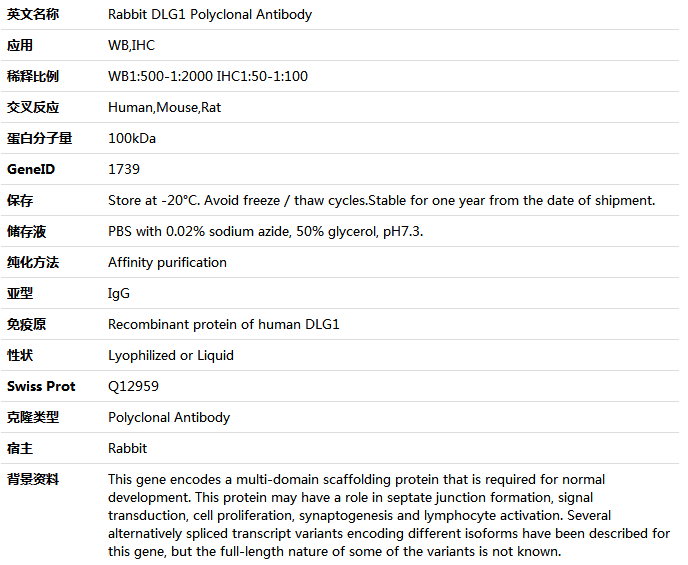 DLG1 Antibody,索莱宝,K005903P-50ul