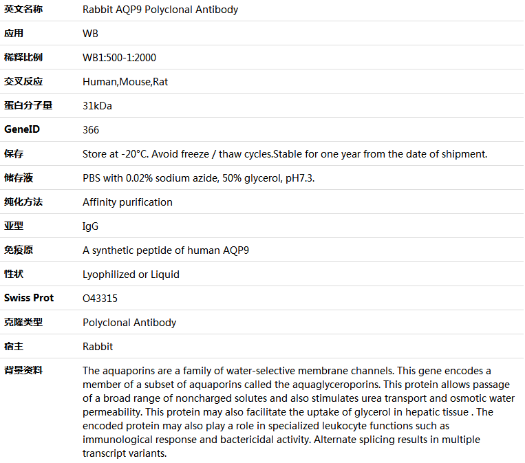 AQP9 Antibody,索莱宝,K005902P-50ul