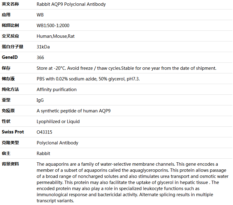 AQP9 Antibody,索莱宝,K005902P-100ul