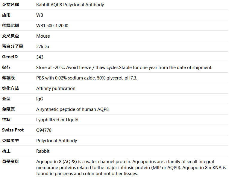 AQP8 Antibody,索莱宝,K005901P-100ul