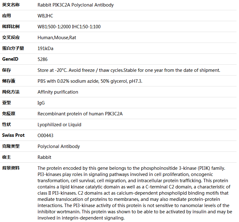 PIK3C2A Antibody,索莱宝,K005897P-100ul